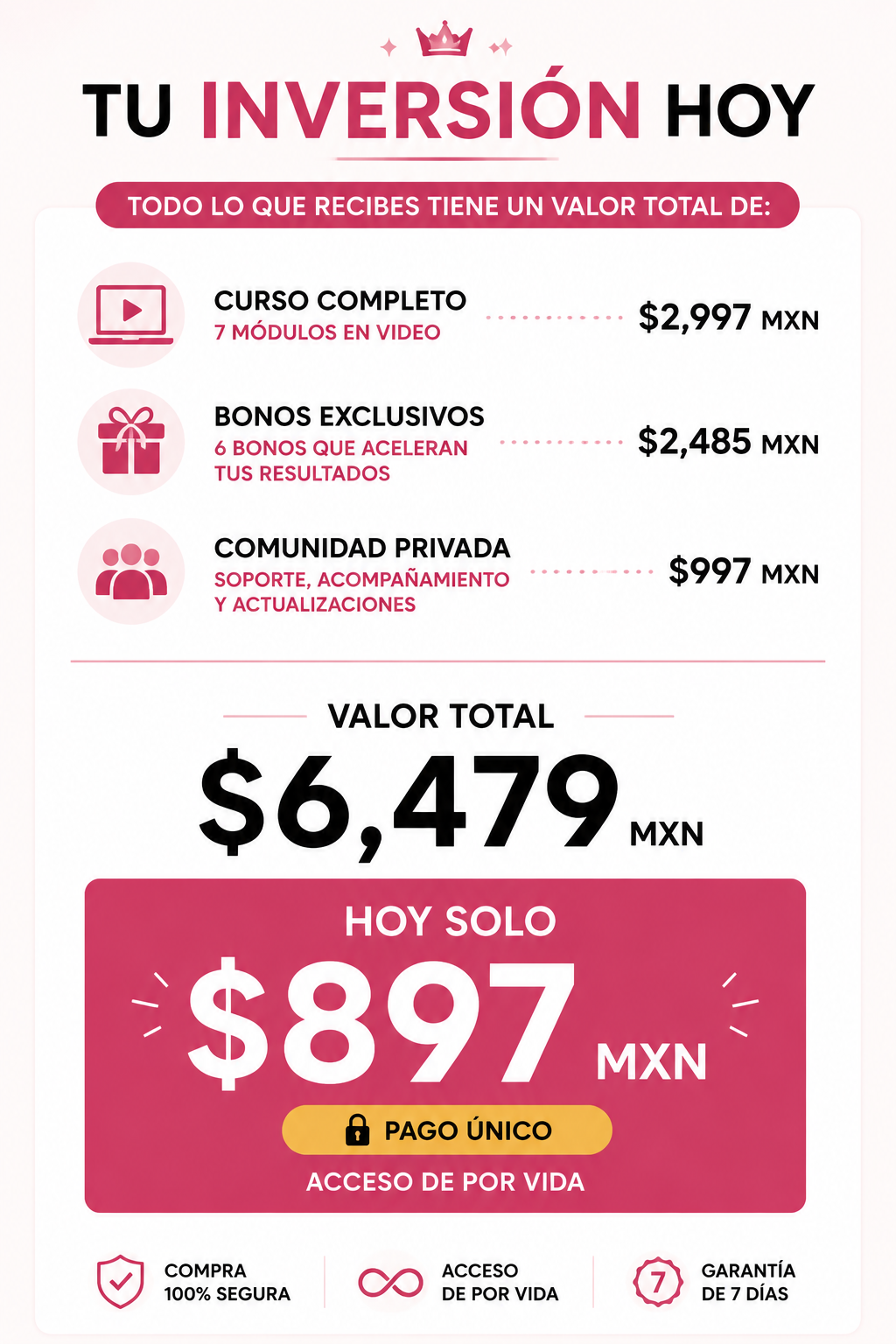Resumen de inversión del curso